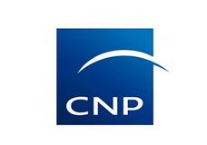 CNP Insurance Holdings CNP Insurance Holdings