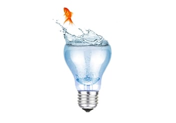 WHY TRUST THE DWF SOLUTION